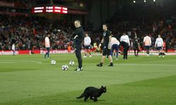 «Черный кот на «Энфилде» продержался дольше Джеррарда». Что окружало матч «Ливерпуль» – «МЮ»